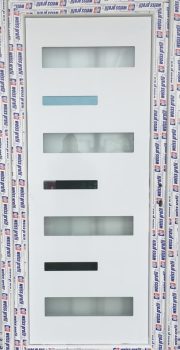 Zebra 7